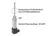 Sensor Suhu WR-203 Stainless Steel IP65 Sinyal 0-10V 0-5V Output 100C 200C 300C RS485 4-20mA RTD OEM ODM Hirschmann