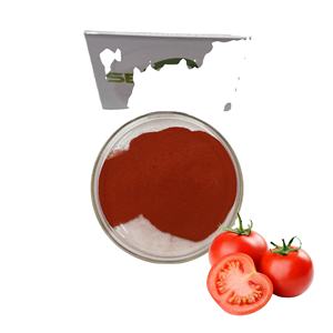 Polvo de extracto de tomate natural de alta calidad, suministro del fabricante - Product Image 1
