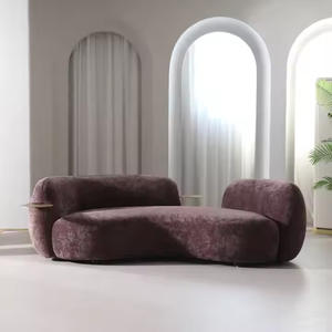 Muebles Disen, Sofá Tateyama Italiano, Sofá Seccional, Sofá de Dos Plazas, Muebles de Sala de Estar de Diseño Moderno y Lujoso con Forma Curva - Product Image 3