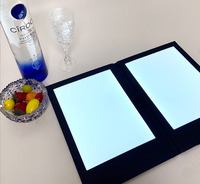 Diode électroluminescente Le menu rétro-éclairé par LED populaire comprend un éclairage rechargeable en PU noir régulier