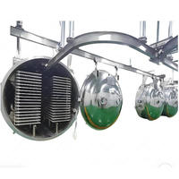 CE 500kg 60m² Vacuümvriesdroger Lyofilisator Vriesdroogmachine voor groenten, fruit en chips