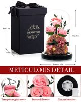 Nouvelles idées de produits 2024 Forever Préservé Roses Dome Valentine Day Merci Anniversaire Anniversaire pour les femmes Femme Petite amie cadeau article