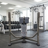 Banc de musculation incliné commercial fixe pour haltères, idéal pour l'entraînement de force des pectoraux et des épaules en salle de sport