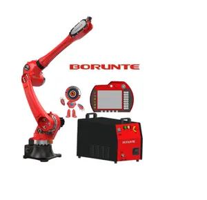 Robot Robot BORUNTE industriale a sei assi