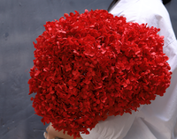 Konservierter Getrockneter Hortensienstrauß Runde Künstliche Blumen Glycerin-Blumenarrangement für Heim Hochzeit Weihnachtsdekoration