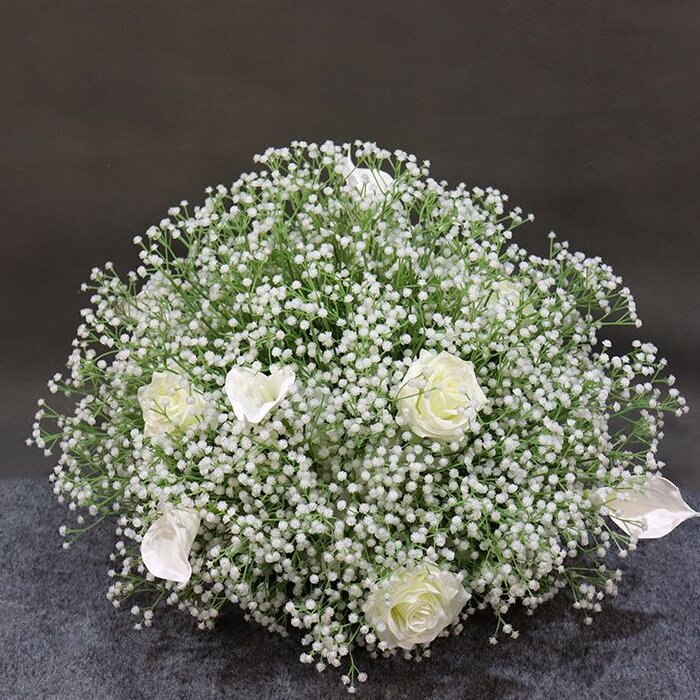 Grande Pianta in Vaso di Gypsophila
