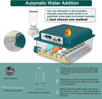 Incubateur automatique d'œufs de 16 capacités avec rotation et humidification pour œufs de poule et de caille en plastique 220V