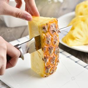 Cuchillo Portátil Multifuncional de Acero Inoxidable para Exteriores, Cuchillo para Carne y Frutas con Mango de Madera, Personalizable OEM - Product Image 5