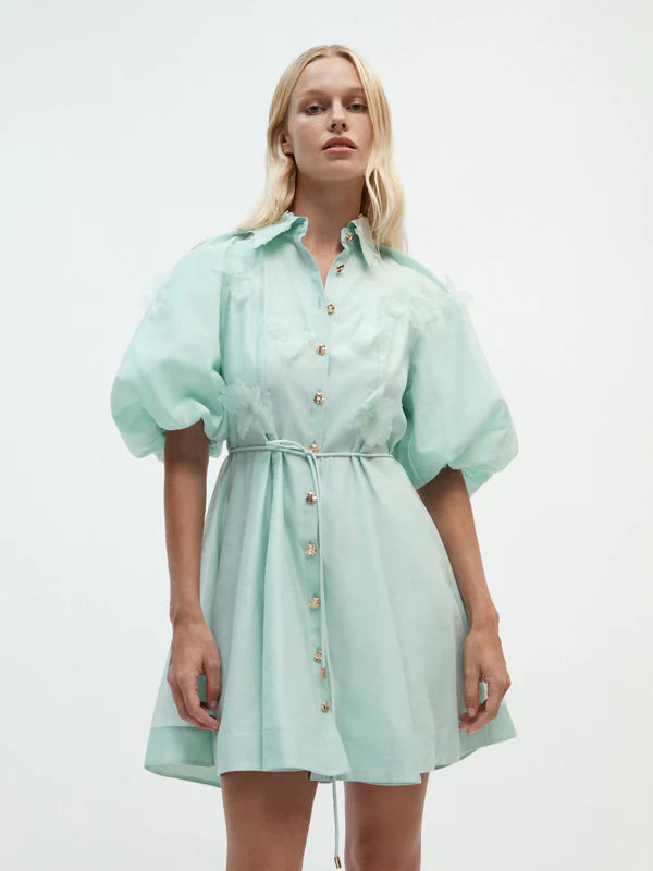 มีสีเขียวขุ่น