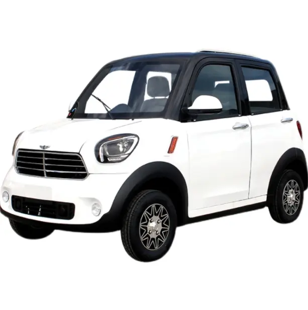 High Speed Mini Electric Car with Lithium /Lead acid Battery for Lhd and Rhd for Adult