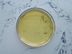 ส่วนผสมเครื่องสำอาง 99% ความบริสุทธิ์ แซคคาไรด์ ไอโซเมอเรต เพนตาไวติน - Product Image 6