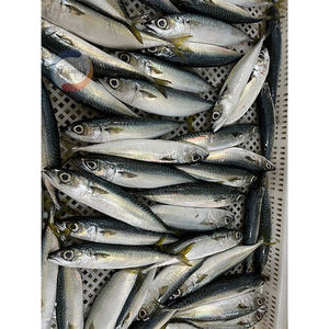 Sgombro del Pacifico Congelato (Scomber Japonicus) Intero Congelato 300-500g - Product Image 5