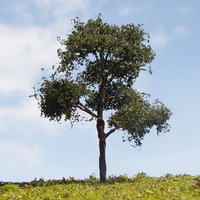 HO N arbre Miniature à échelle artificielle en fil de fer pour la fabrication de maquettes architecturales, aménagement de trains