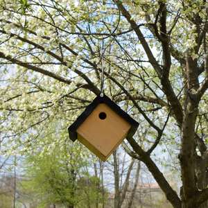 Groothandel Kleine Schommel Pet Kooien & Nest Huisjes Duif <span class=keywords><strong>Bird</strong></span> House Outdoor Houten Fokkerij Box Voor Vogel - Product Image 4