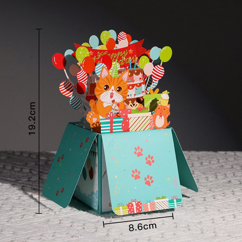 chat - lumière
