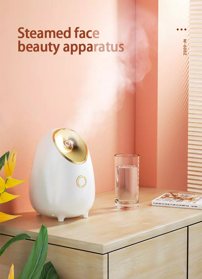 ボディ・フェイスケア Beauty Steamer NANO DMB-745-WHPK ボディ・フェイスケア Beauty Steamer NANO DMB-745-WHPK Amazon.com