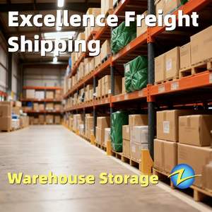 Servizio di Magazzino Oltremare DDP Spedizione Aerea e Marittima da Shenzhen a Fortaleza, Rio De Janeiro, Itajaí, Santos, Brasile, Argentina - Product Image 2