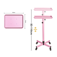 Chariots de travail pour salon Chariot de salon de coiffure Chariot de coiffure Plateau avec roues Mobilier de salon en or Moderne 50pcs Hauteur réglable