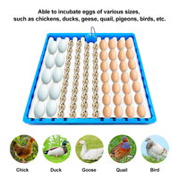 Accessoire d'incubation pour l'élevage du bétail, plateau à œufs de type rouleau bleu 70 pour œufs de caille et de poulet