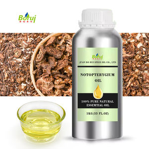 Китайское травяное 100% чистое и натуральное эфирное масло корня нотоптериума для снятия мышечной боли - Product Image 3