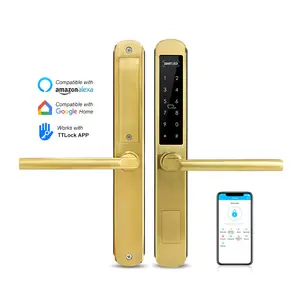 Tediton Small Fingerprint Lock Smart Fingerprint Door Lock System China Door & Window Handles 200 Groups -18~60degree 40-120mm