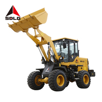 Minicargadora de ruedas de 1 1,6 toneladas, cargadora telescópica compacta, cargadora frontal de tractor pequeño 4x4 con cubo Sdlg L916 China 45 LG916