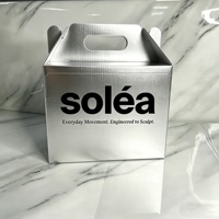 Boîte en carton argenté personnalisée de luxe avec poignée, auto-érectible, jetable, pour emballage alimentaire, promotion, cadeau, vêtements