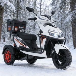 Nieuwe 150cc benzine driewieler |   Seniorenvriendelijke, aanpasbare off-road mobiliteits <span class=keywords><strong>scooter</strong></span>, mobiliteitshulpmiddel voor gehandicapten - Product Image 3