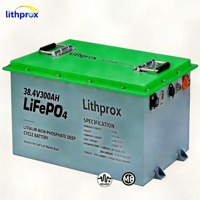 Batterie Lithium à Décharge Profonde 38.4V 300AH 10KW Grade LiFePO4 pour Stockage Domestique avec BMS Intelligent RS485 et Bornes M8 CE RoHS IP67 OEM/ODM 6000