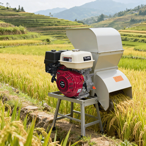 Moteur à <span class=keywords><strong>essence</strong></span> horizontal 10HP 270cc 1 cylindre avec réducteur et démarrage électrique pour bétonnières et épandeurs de mortier - Product Image 5