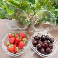 Conteneurs en plastique transparent anti-buée pour cerises, fraises, tomates, avec trous d'aération pour l'emballage des fruits