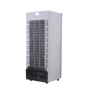 12V/24V Solar Compressor Vertical <b>Refrigerator</b> FS-BCD258 Large Capacity Thick Insulation for Commercial Off-Grid Use Africa Thic - Product Image 1