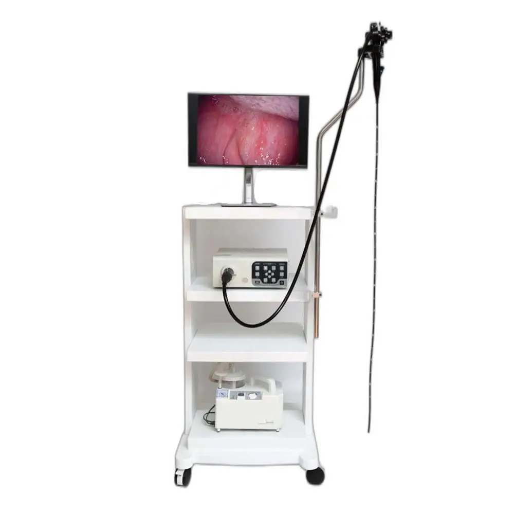 Prezzo a buon mercato attrezzature mediche endoscopio medico diagnostico endoscopio gastroscopio e colonscopio telecamera endoscopio veterinario
