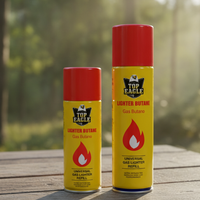 Bouteille de gaz butane universelle scellée et sécurisée de 100 ml pour briquet de poche coupe-vent et allume-feu de cuisine