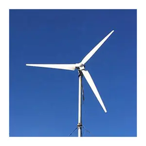 Cheap Roof Top Wind Turbine 10KW System Horizontal Axis Wind Generators For Home USE