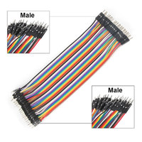 Rangkaian Kabel Pelangi Dupont Kustom 40pin 2.54mm 20cm Kabel Jumper Male to Male Harness Listrik