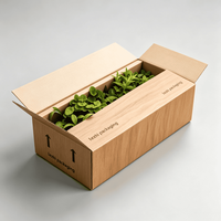 Boîte d'expédition personnalisée en carton ondulé pour plantes vivantes, écologique, pour plantes en pot, succulentes, emballage en carton pour plantes vivantes