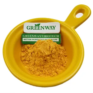 Fornitura di Fabbrica di Estratto di Sophora Japonica 95% 98% Polvere di Quercetina per Prodotti per la Salute - Product Image 3