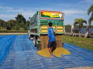 Filet d'écran tissé bleu <span class=keywords><strong>de</strong></span> maille d'écran bleu pour la <span class=keywords><strong>serre</strong></span> d'agriculture <span class=keywords><strong>de</strong></span> <span class=keywords><strong>jardin</strong></span> - Product Image 2