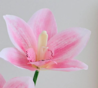 Plante d'orchidée Cymbidium artificielle en pot, fleur d'orchidée réaliste, faux bonsaï avec pot blanc, fausse fleur pour la maison, table ou comptoir