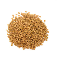 Poudre de fenugrec séché d'origine indienne Huile de fenugrec Gallon Fuile de fenugrec
