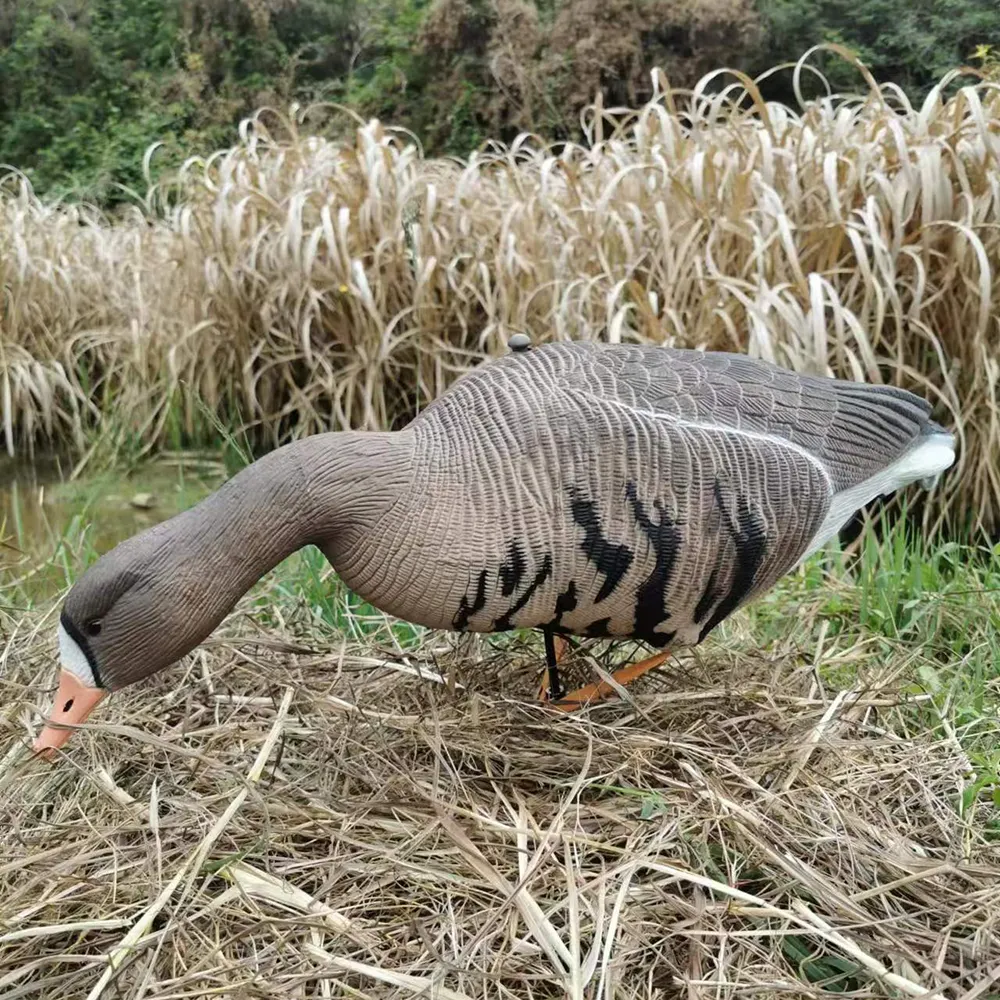 Esca di caccia all'oca canadese in schiuma EVA o XPE per la caccia in giardino