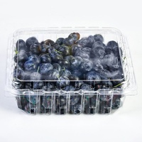 Boîte à fruits jetable en PET de 1,5 lb, emballage blister, conteneur en plastique pour fraises, raisins, myrtilles, à emporter, pour la conservation des aliments frais