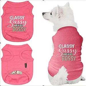 Camiseta <span class=keywords><strong>de</strong></span> algodón 100% <span class=keywords><strong>para</strong></span> <span class=keywords><strong>perros</strong></span> bordada 'Classy Sassy Bit Bossy' lavable a máquina lindo <span class=keywords><strong>chaleco</strong></span> <span class=keywords><strong>para</strong></span> mascotas <span class=keywords><strong>para</strong></span> <span class=keywords><strong>perros</strong></span> grandes ropa rosa <span class=keywords><strong>para</strong></span> <span class=keywords><strong>perros</strong></span> - Product Image 1