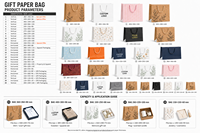 Luxury Clothing Gift Shopping Packaging Paper Bags Kraft Paper Retail Packing Pink White Craft Paper Hot Stamping Paperboard