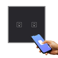 Interruptor de cortina bidireccional de 2 luces con aplicación remota Smart Life tuya WiFi interruptor de 2 bandas con Google Alexa