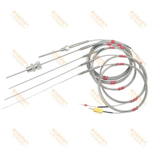 Sonda Termopar Blindada Tipo K Tznuoyi WRNK 191 con Cables, Sensor de Temperatura de Alta Precisión, Estándar Nacional - Product Image 1