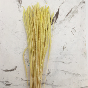 Fleur Style Nordique Fleur Décoration Roseaux Naturel Séché Pampas <span class=keywords><strong>Herbe</strong></span> Petit Pour Mariage Maison Déco - Product Image 4