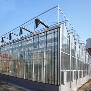 Высокое качество, коммерческая низкая стоимость, закаленное стекло, тоннель, томатная Большая теплица для сельского хозяйства - Product Image 3