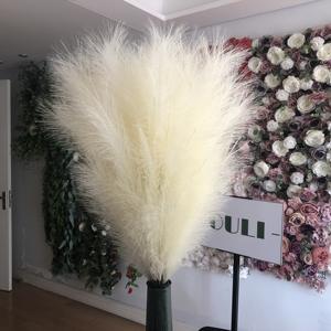 H0019 Naturale di Fiori Secchi Decorazione Domestica E La Decorazione di Nozze di Nozze Piccolo Artificiale Decorativo Soffici <span class=keywords><strong>Pampas</strong></span> Erba <span class=keywords><strong>Per</strong></span> Vaso - Product Image 2